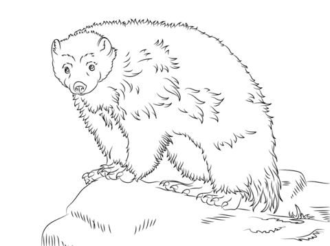 Cute Wolverine Coloring Page